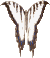 Choisir cette image comme modle de grille de point de croix